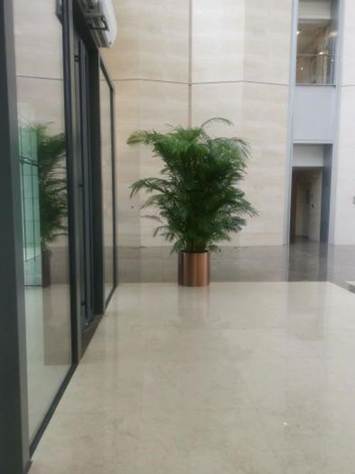 �ǹ��ɶԹ���-׷�󿵽�,����һ������