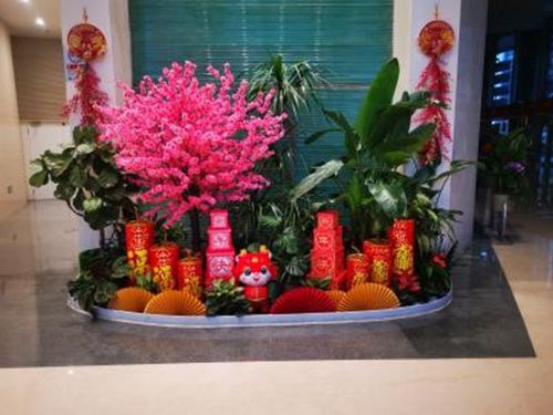 �ǹ��ɶԹ���-׷�󿵽�,����һ������